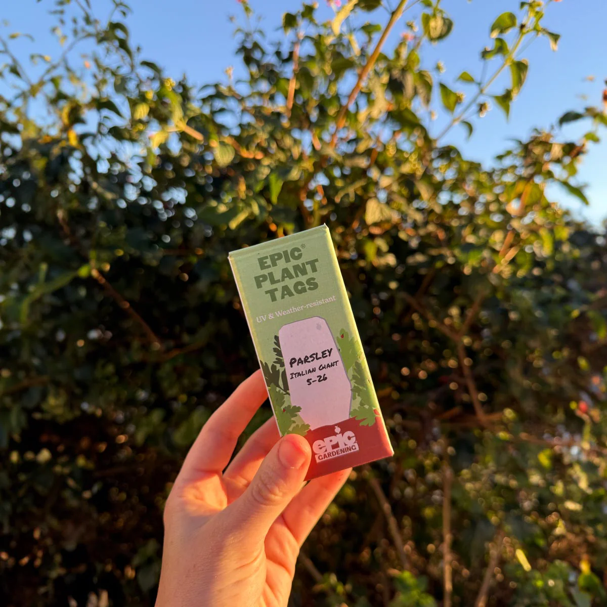 Product image 13